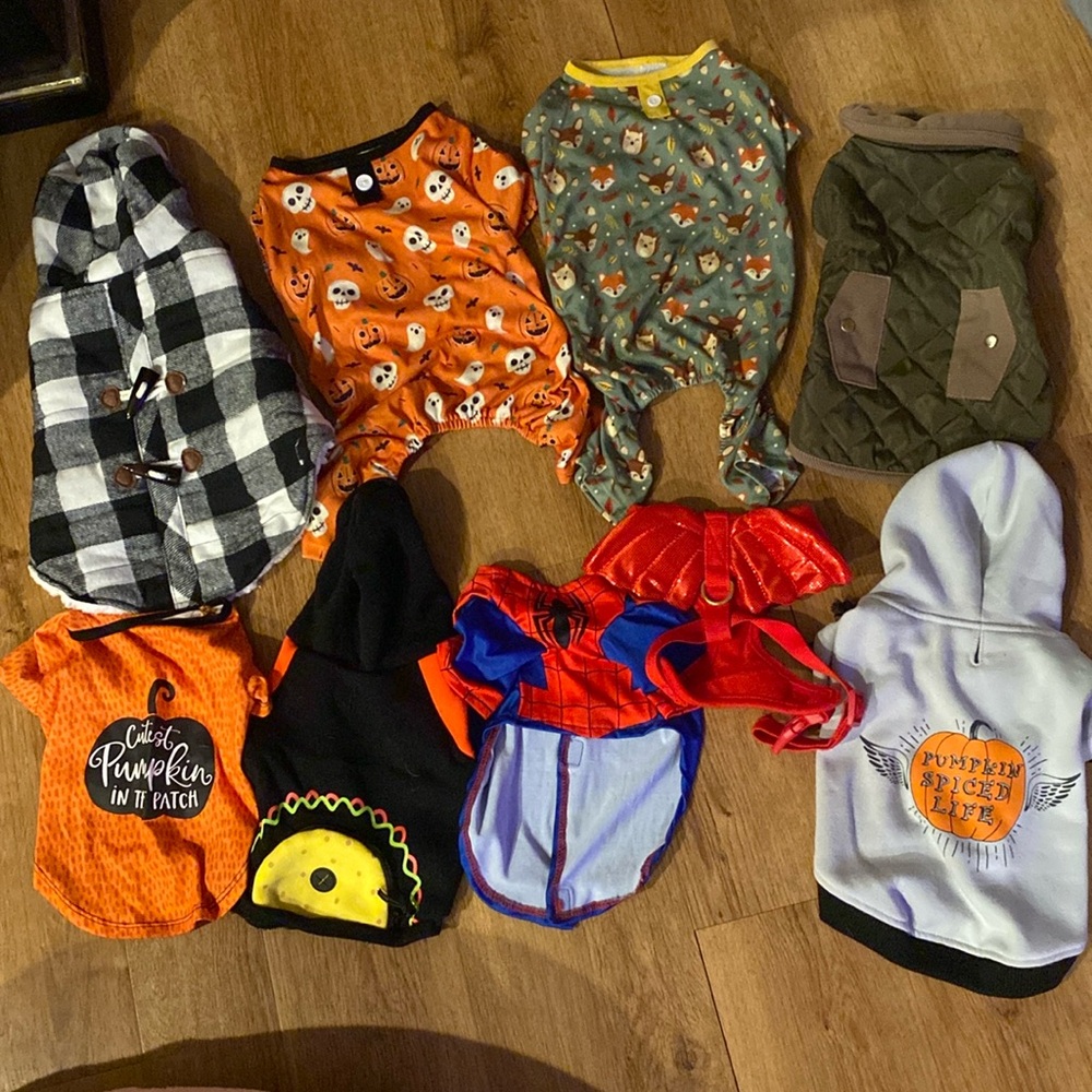 Dog clothes bundle size small